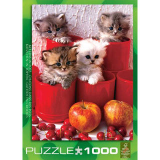 Kittens in Pots Puzzle