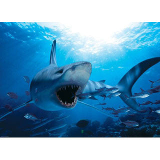 Hungriges Hai-Puzzle