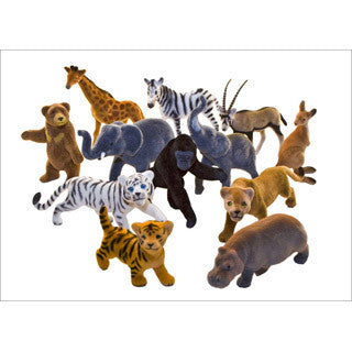 Wildlife Animals Set