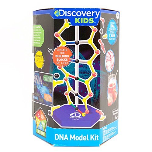Discovery Kids DNA Model Kit