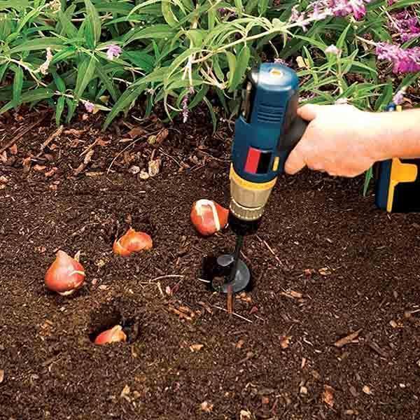 Spirallochbohrerpflanzung und Grasstopfenschnecken
