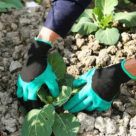 باغ جنن دستانے پنجی کے ساتھ دائیں ہاتھ کی