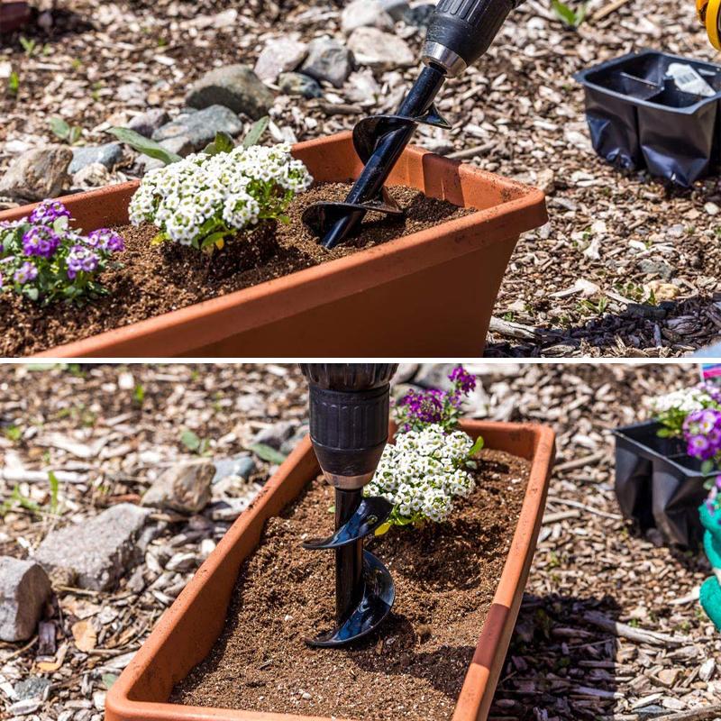 Spirallochbohrerpflanzung und Grasstopfenschnecken