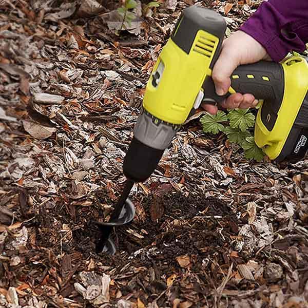 Spirallochbohrerpflanzung und Grasstopfenschnecken