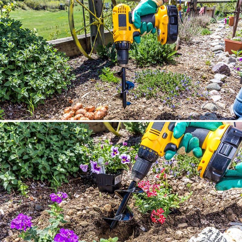 Spirallochbohrerpflanzung und Grasstopfenschnecken
