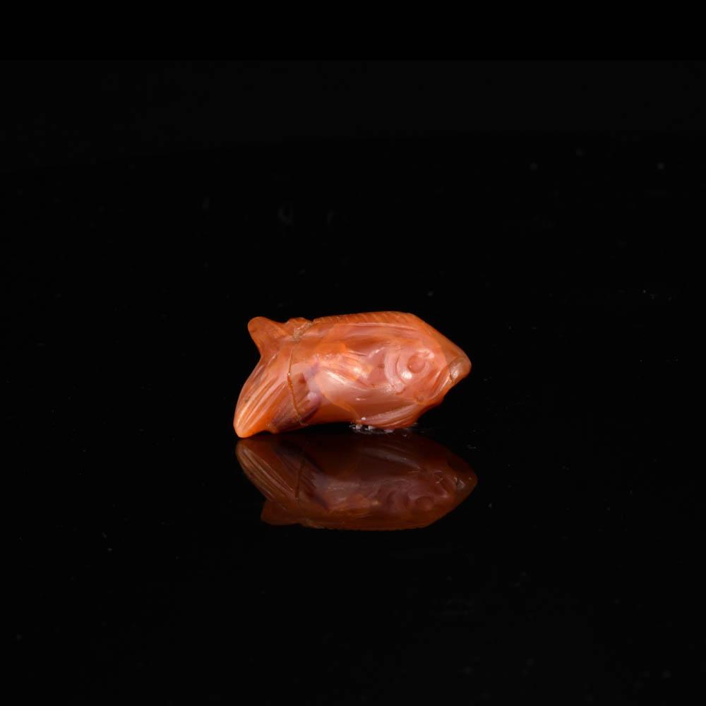 ایک نایاب مصری کارنیلین فش تعویذ ، مڈل کنگڈم ، سی اے۔ 2040 - 1783 قبل مسیح