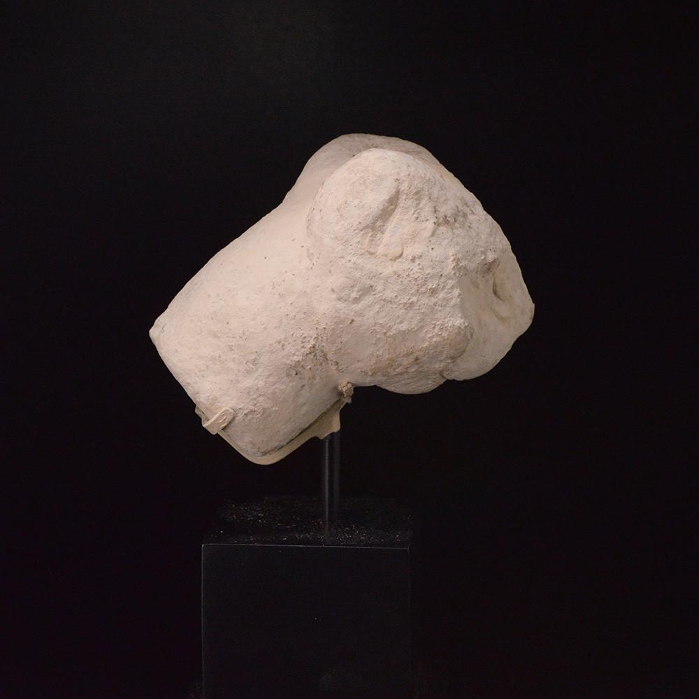 Ein ägyptischer Kalksteinkopf einer Katze, spätptolemäische Zeit, ca. 664 - 332 v. Chr.