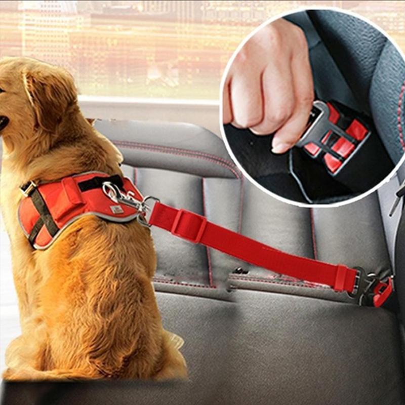 Sicherheitsgürtel für Hundauto