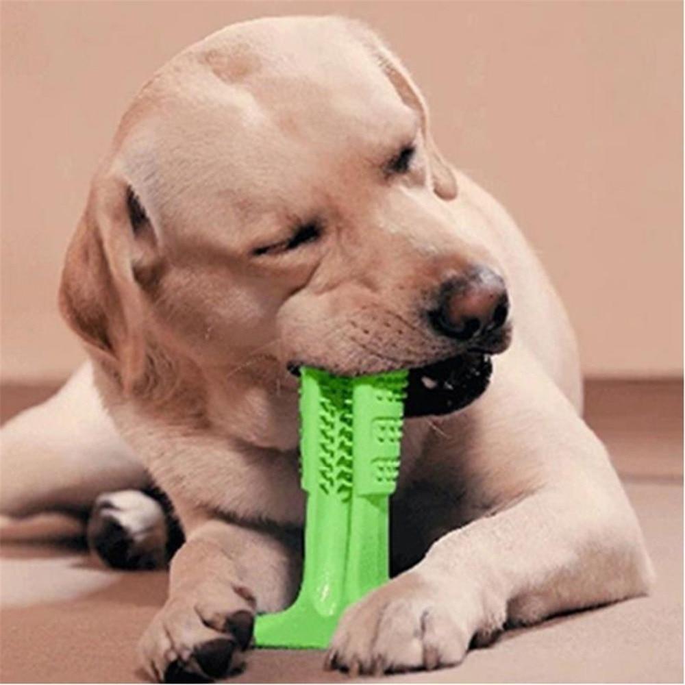 DIY -Hundzahnbürste & Kauenspielzeug