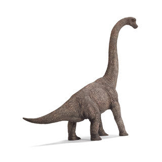 Brachiosaurus
