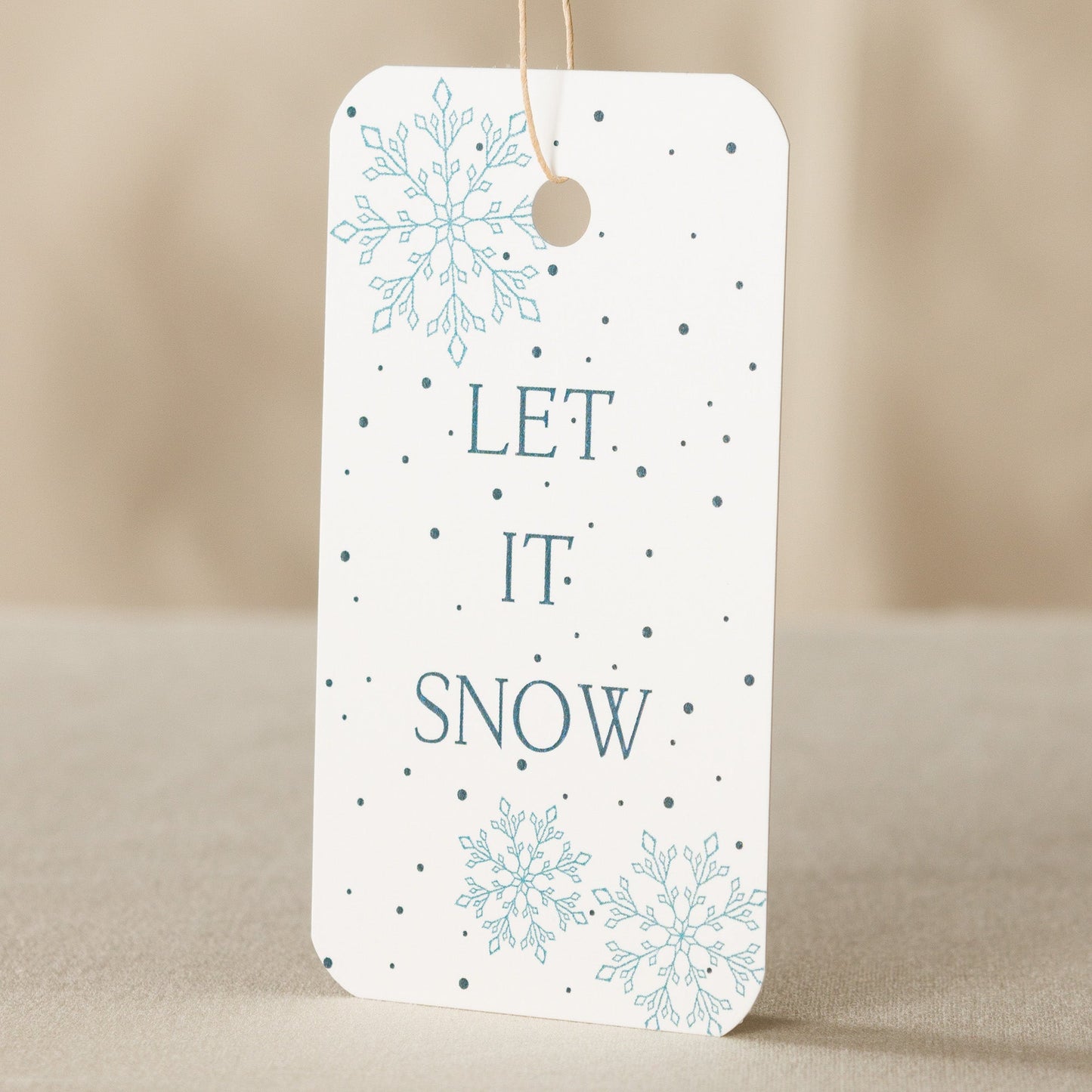 Winter Wonderland Gift Tag - 10 Pack