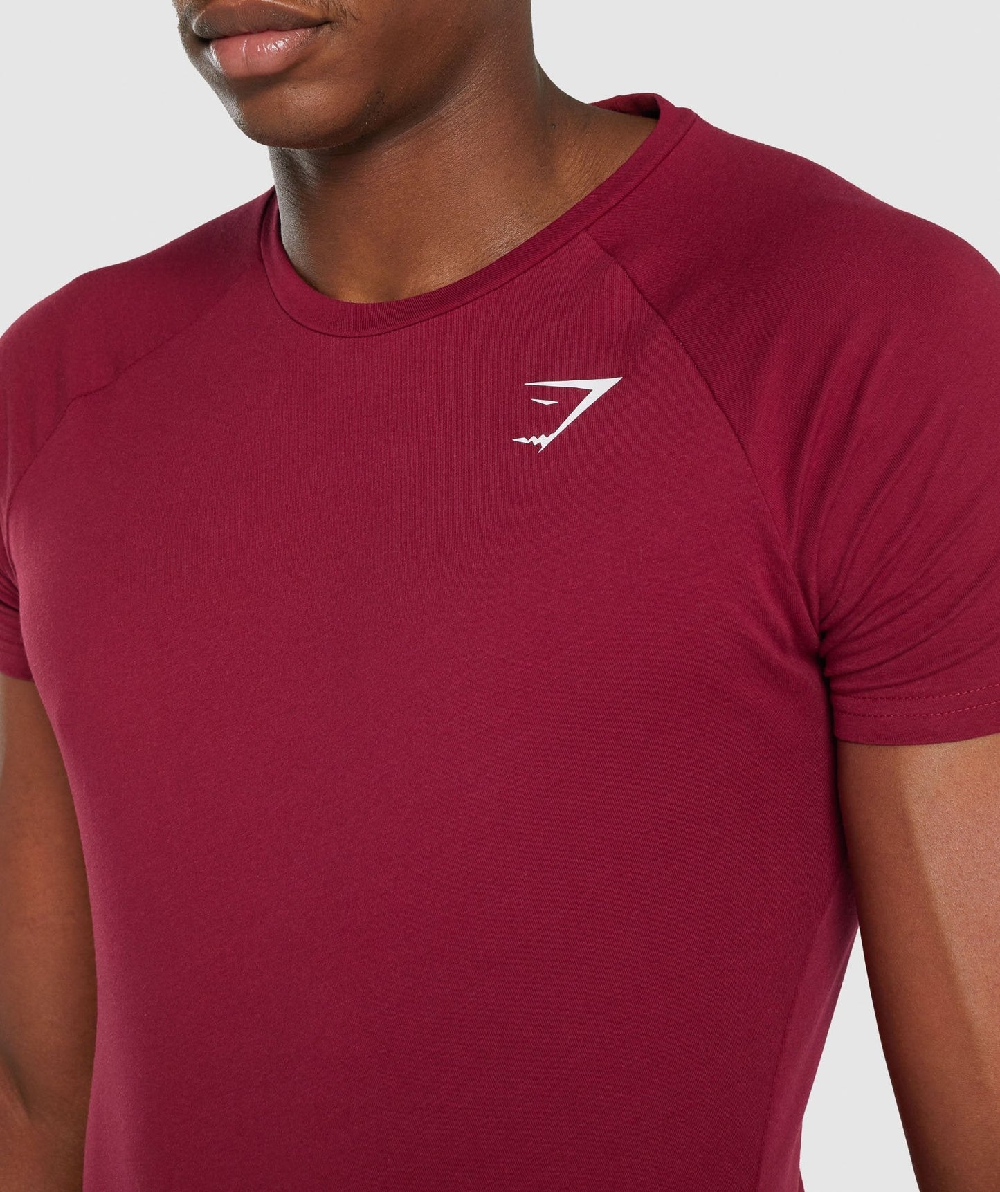 Gymshark Critical 2.0 T-Shirt - Burgundy – Client 446 100K products