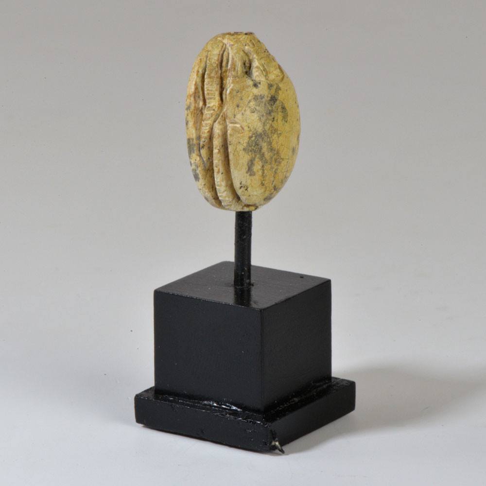 Ein ägyptischer Skarabäus mit Specksteinmuster, Hyksos-Zeit, ca. 1600 v. Chr.