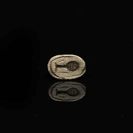 Ein ausgestellter ägyptischer Skarabäus aus Speckstein, Neues Reich, ca. 1550 - 1069 v. Chr.