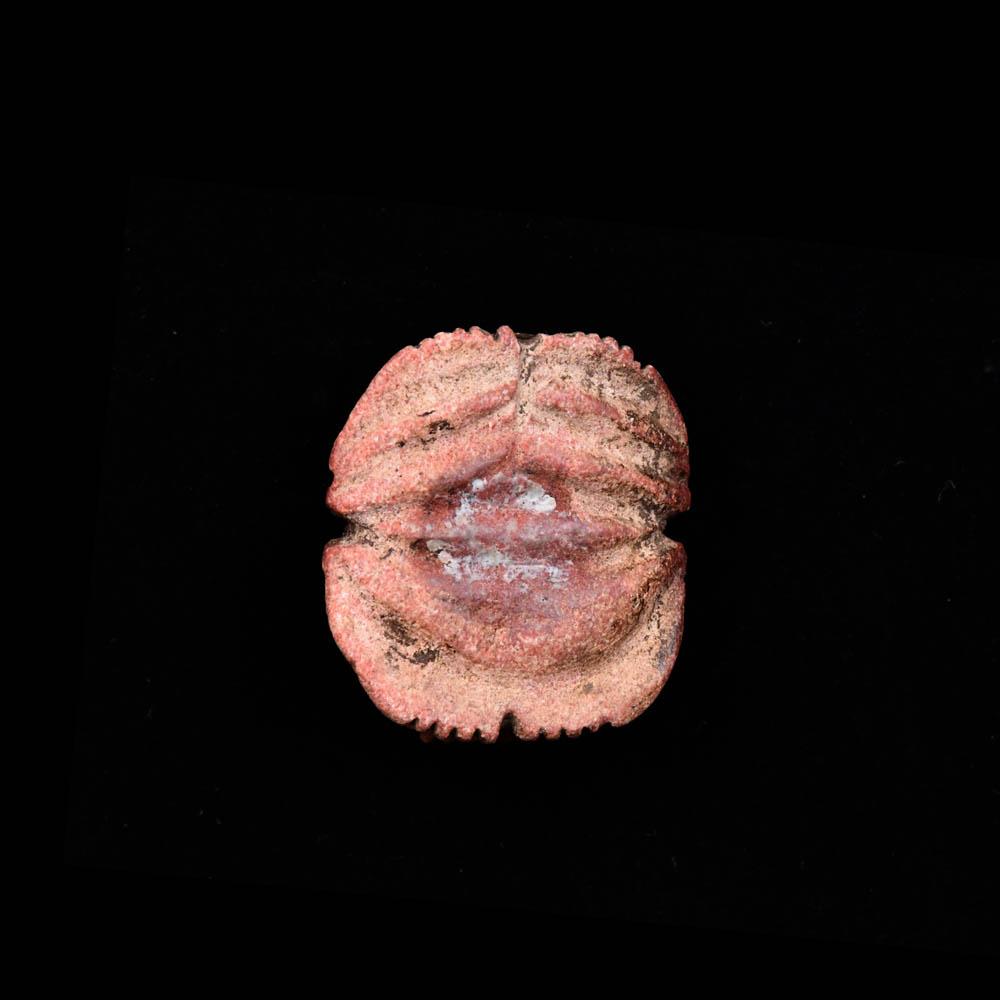 Ein ägyptischer rot glasierter Speckstein-Skarabäus, Spätzeit, ca. 664 - 332 v. Chr.