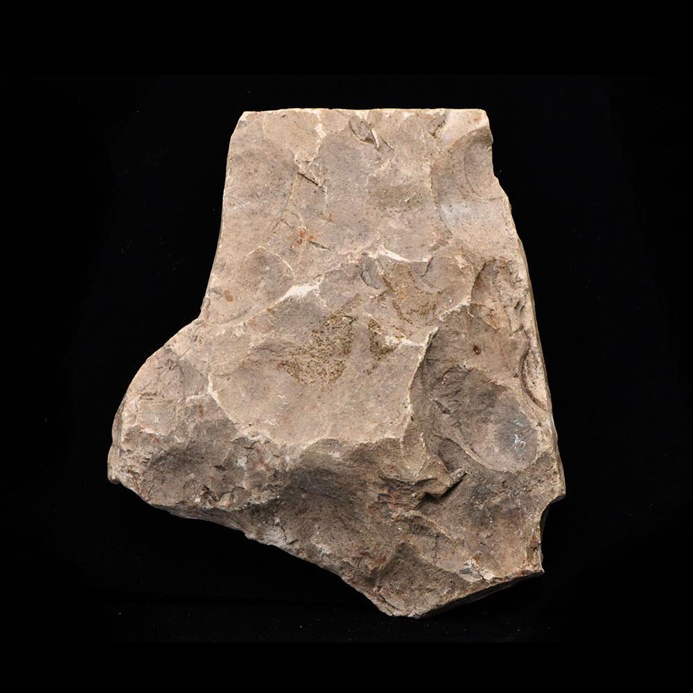 Ein ägyptisches Kalksteinrelieffragment, Spätzeit, ca. 664 - 332 v. Chr.