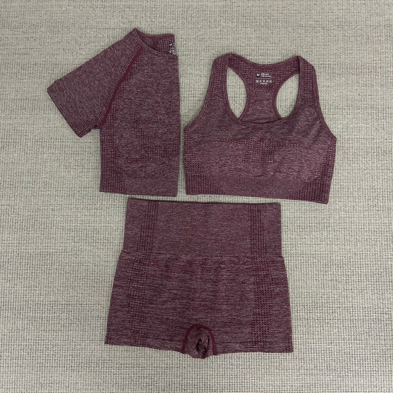 Nahtlose frauen yoga fitness sport anzüge Gym Kleidung frauen Fitness Sport Yoga Yoga Sport Bh + Leggings shorts + kurze ärmel