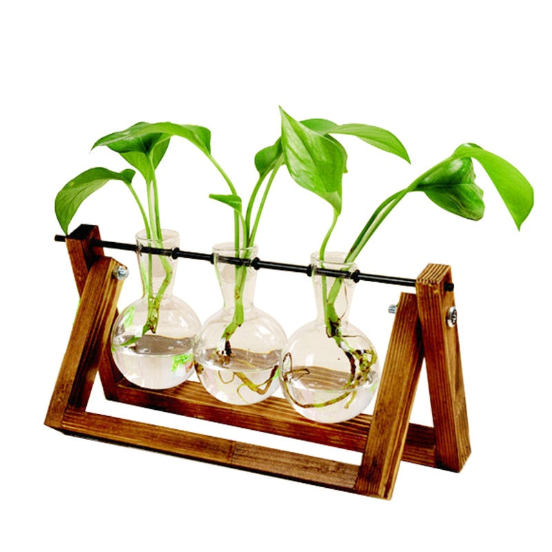 Terrarium Kreative Hydrokultur Pflanze Transparent Vase Holzrahmen Vase Dekoration Glas Tischplatte Pflanze Bonsai Dekor Blumenvase