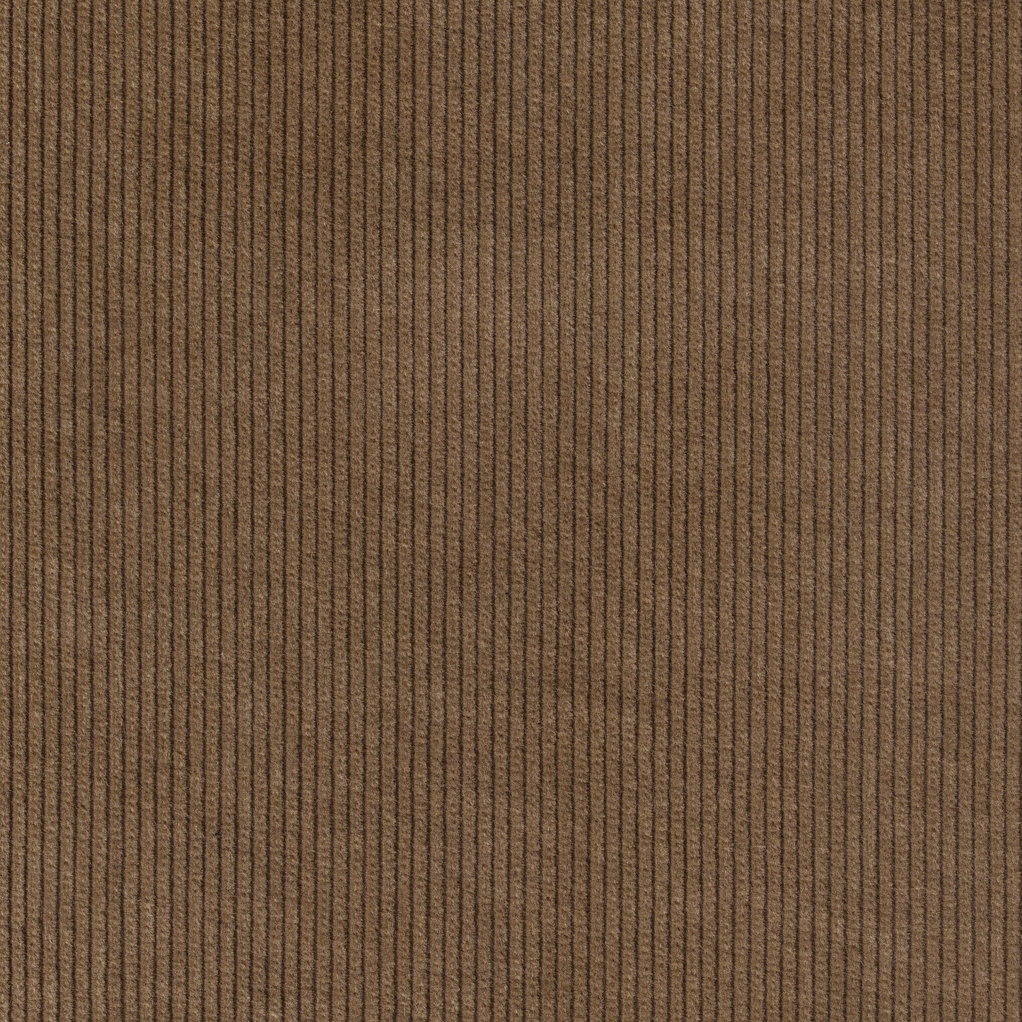 Men's Sand Corduroy