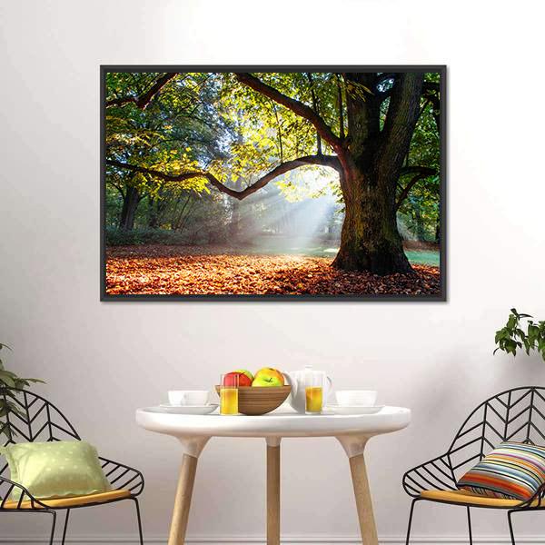 Mighty Oak Tree Canvas Wall Art-3 Horizontal-Gallery Wrap-25" x 16"-Tiaracle