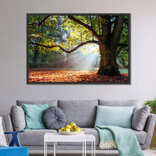 Mighty Oak Tree Canvas Wall Art-3 Horizontal-Gallery Wrap-25" x 16"-Tiaracle