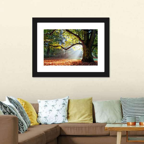 Mighty Oak Tree Canvas Wall Art-3 Horizontal-Gallery Wrap-25" x 16"-Tiaracle