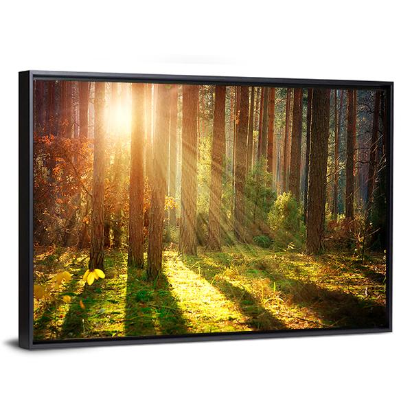 Misty Old Forest Autumn Canvas Wall Art-3 Horizontal-Gallery Wrap-25" x 16"-Tiaracle