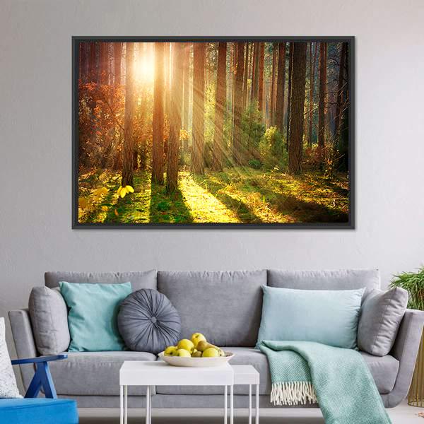 Misty Old Forest Autumn Canvas Wall Art-3 Horizontal-Gallery Wrap-25" x 16"-Tiaracle