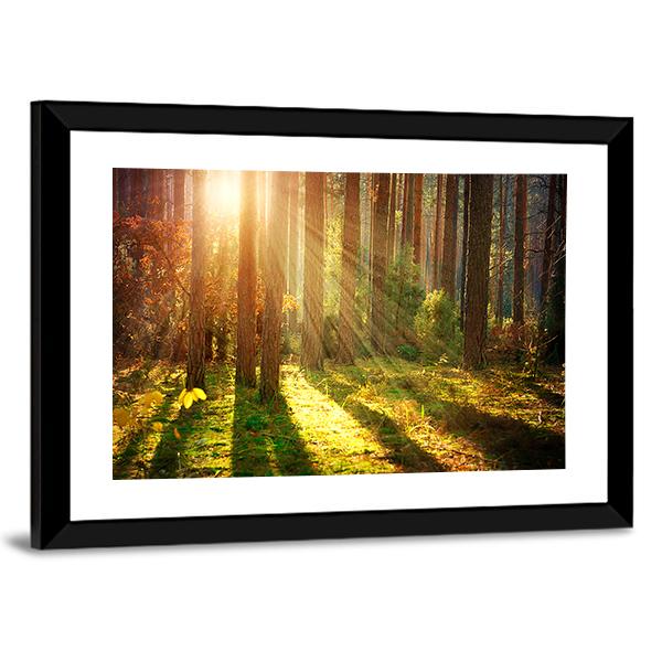 Misty Old Forest Autumn Canvas Wall Art-3 Horizontal-Gallery Wrap-25" x 16"-Tiaracle