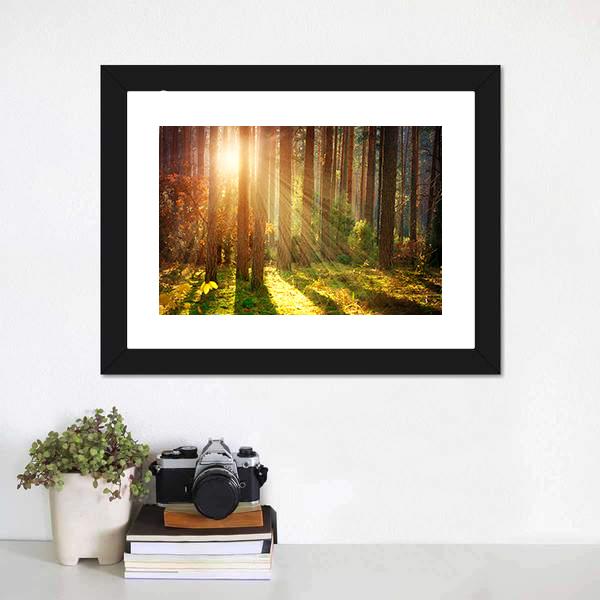 Misty Old Forest Autumn Canvas Wall Art-3 Horizontal-Gallery Wrap-25" x 16"-Tiaracle