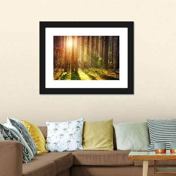 Misty Old Forest Autumn Canvas Wall Art-3 Horizontal-Gallery Wrap-25" x 16"-Tiaracle