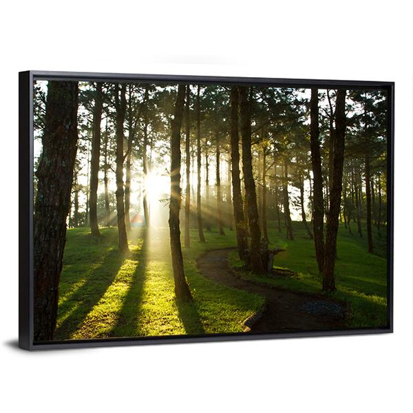 Morning In Pine Forest Canvas Wall Art-3 Horizontal-Gallery Wrap-25" x 16"-Tiaracle