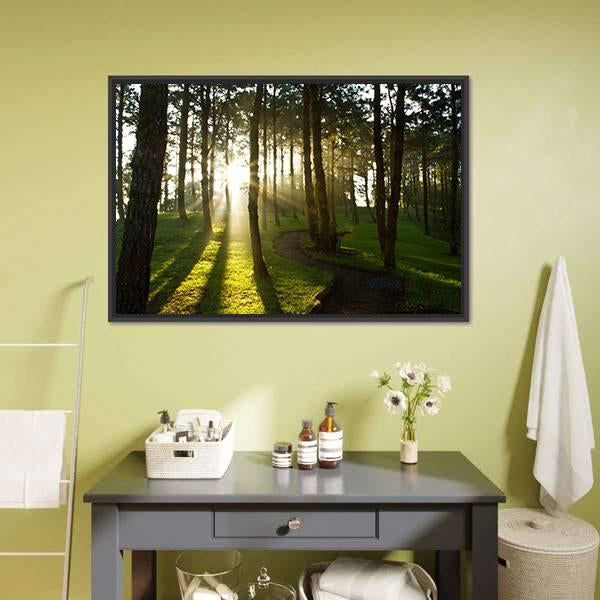 Morning In Pine Forest Canvas Wall Art-3 Horizontal-Gallery Wrap-25" x 16"-Tiaracle