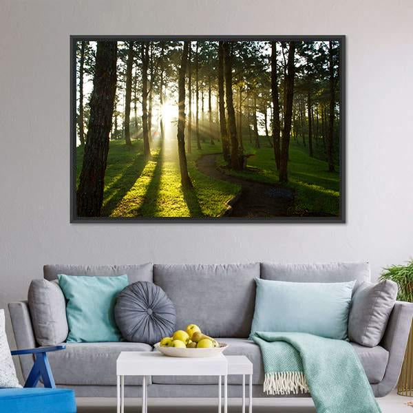 Morning In Pine Forest Canvas Wall Art-3 Horizontal-Gallery Wrap-25" x 16"-Tiaracle