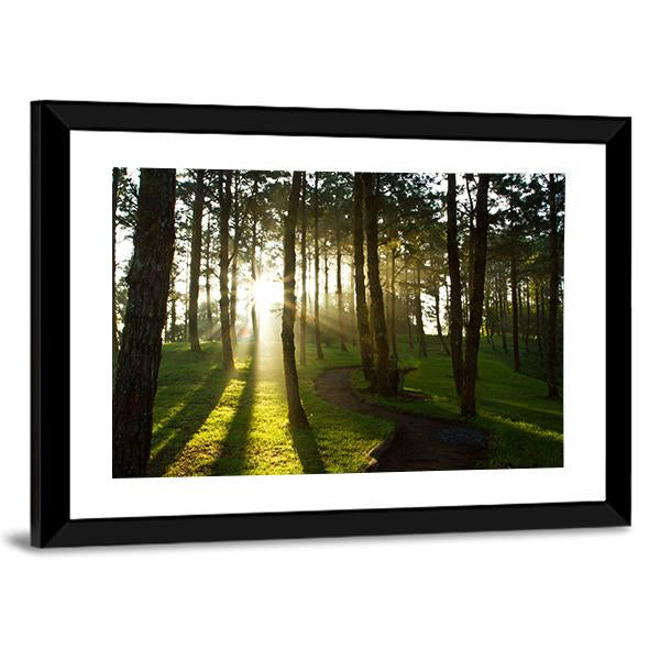 Morning In Pine Forest Canvas Wall Art-3 Horizontal-Gallery Wrap-25" x 16"-Tiaracle