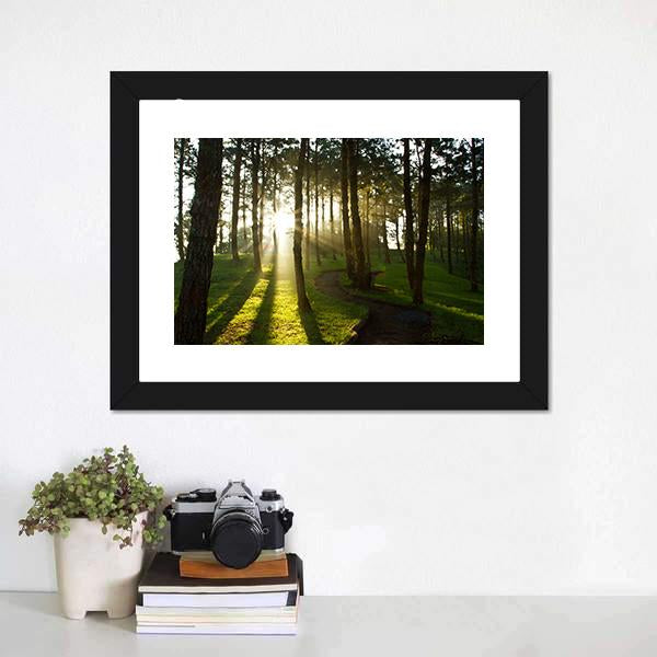 Morning In Pine Forest Canvas Wall Art-3 Horizontal-Gallery Wrap-25" x 16"-Tiaracle