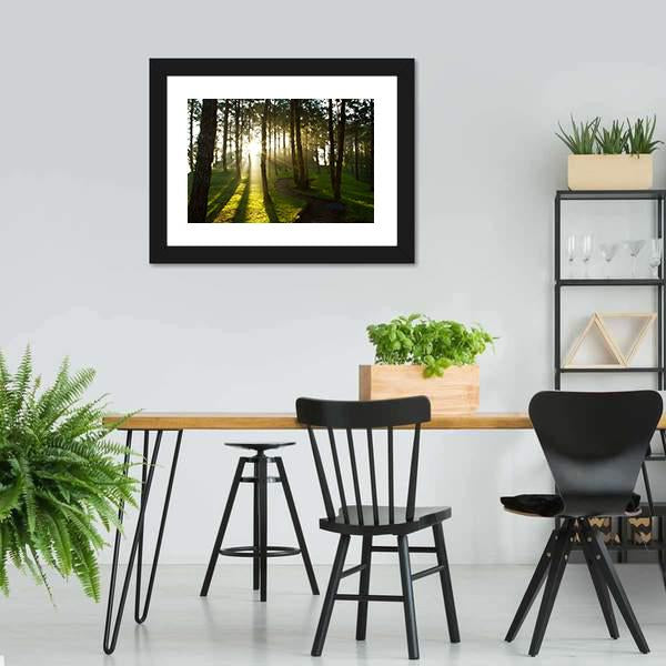 Morning In Pine Forest Canvas Wall Art-3 Horizontal-Gallery Wrap-25" x 16"-Tiaracle