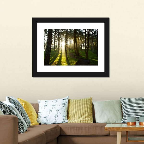 Morning In Pine Forest Canvas Wall Art-3 Horizontal-Gallery Wrap-25" x 16"-Tiaracle