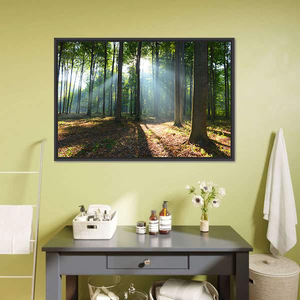 Morning In The Forest Canvas Wall Art-3 Horizontal-Gallery Wrap-25" x 16"-Tiaracle