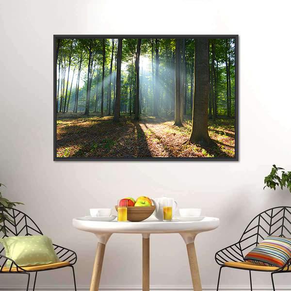 Morning In The Forest Canvas Wall Art-3 Horizontal-Gallery Wrap-25" x 16"-Tiaracle