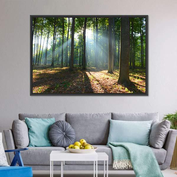 Morning In The Forest Canvas Wall Art-3 Horizontal-Gallery Wrap-25" x 16"-Tiaracle