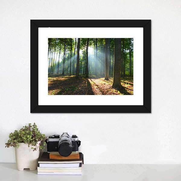 Morning In The Forest Canvas Wall Art-3 Horizontal-Gallery Wrap-25" x 16"-Tiaracle