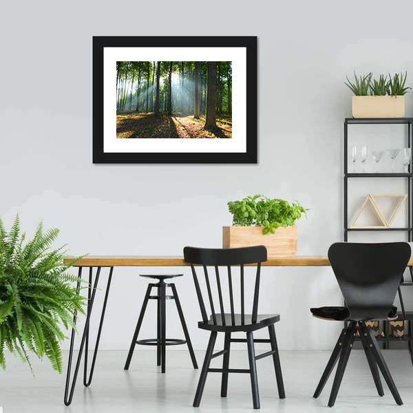 Morning In The Forest Canvas Wall Art-3 Horizontal-Gallery Wrap-25" x 16"-Tiaracle