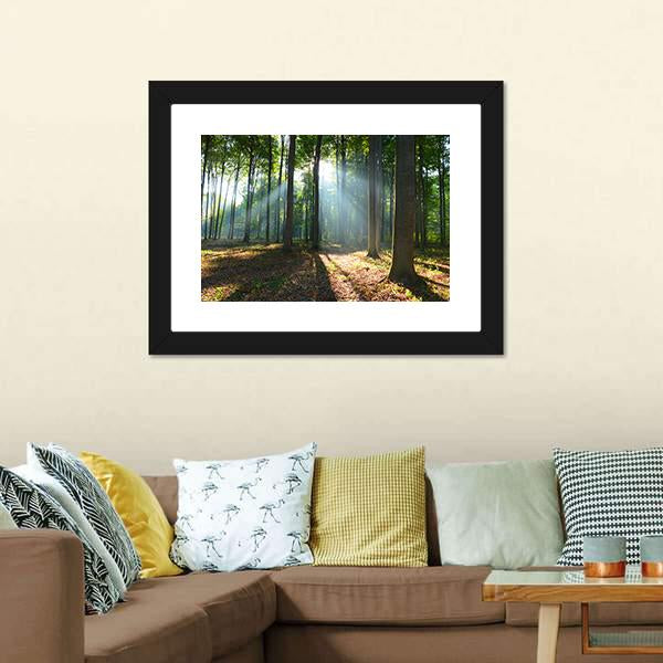 Morning In The Forest Canvas Wall Art-3 Horizontal-Gallery Wrap-25" x 16"-Tiaracle