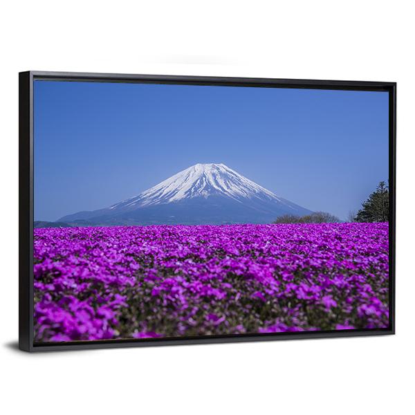 Mount Fuji In Spring Canvas Wall Art-3 Horizontal-Gallery Wrap-25" x 16"-Tiaracle