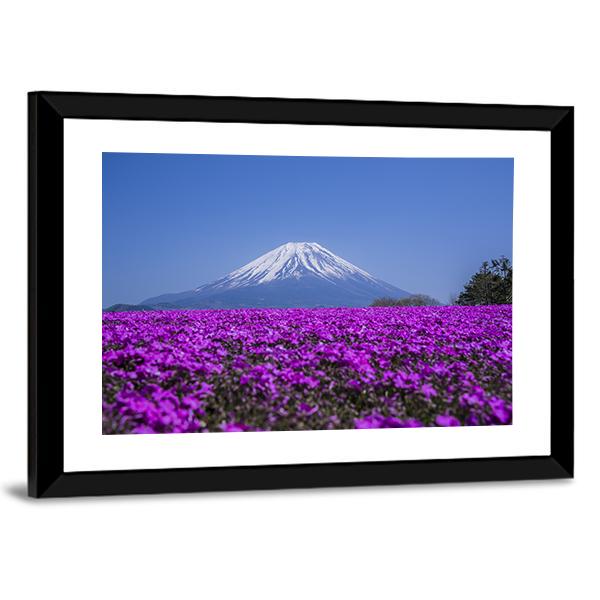 Mount Fuji In Spring Canvas Wall Art-3 Horizontal-Gallery Wrap-25" x 16"-Tiaracle