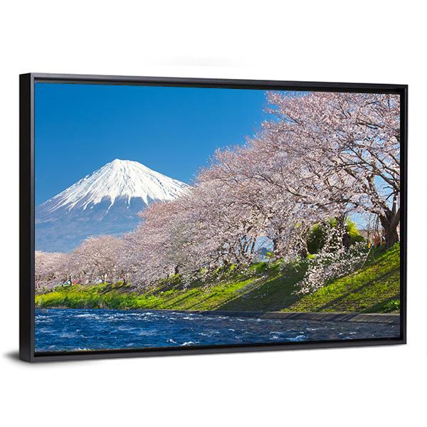 Mountain Fuji & Cherry Blossom Canvas Wall Art-3 Horizontal-Gallery Wrap-25" x 16"-Tiaracle