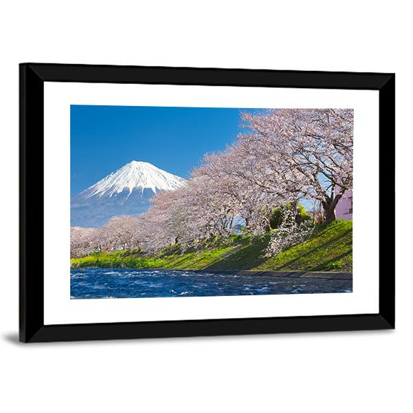 Mountain Fuji & Cherry Blossom Canvas Wall Art-3 Horizontal-Gallery Wrap-25" x 16"-Tiaracle