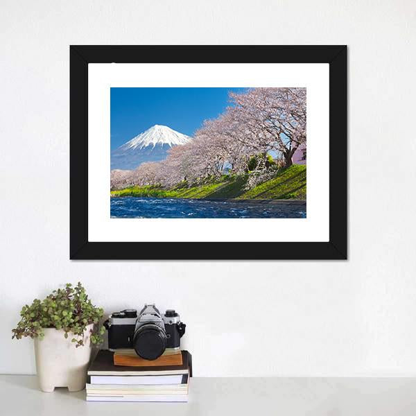 Mountain Fuji & Cherry Blossom Canvas Wall Art-3 Horizontal-Gallery Wrap-25" x 16"-Tiaracle