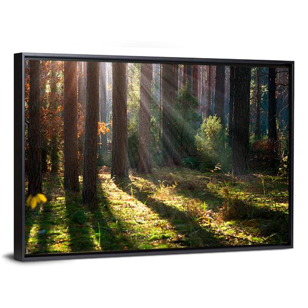 Old Autumn Forest Canvas Wall Art-3 Horizontal-Gallery Wrap-25" x 16"-Tiaracle